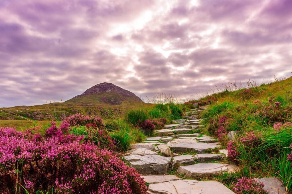 Trips to Ireland